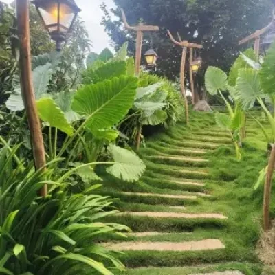 project-landscape-10